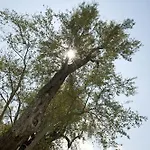 Natur-med Hot Springs And Health Ξενοδοχείο Davutlar