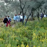 Ξενοδοχείο Natur-med Hot Springs And Health Davutlar