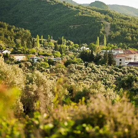 Hotel Natur-med Hot Springs And Health