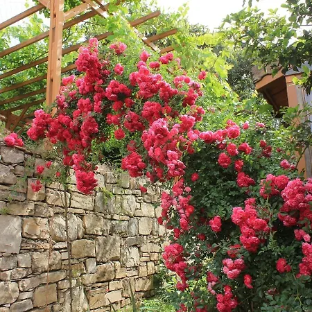 Hotel Natur-med Hot Springs And Health 3*