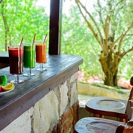 Natur-med Hot Springs And Health Ξενοδοχείο Davutlar