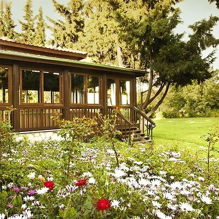 Natur-med Hot Springs And Health 3*