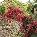 Hotel Natur-med Hot Springs And Health 3*