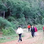 Hotel Natur-med Hot Springs And Health