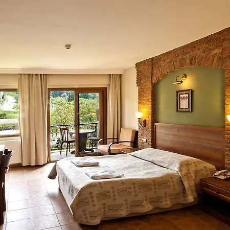 Natur-med Hot Springs And Health Hotel Davutlar