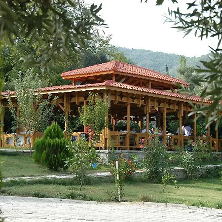 Natur-med Hot Springs And Health Hotel Davutlar